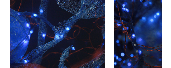 memory_ambition_combo